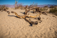 -Death Valley 2017-0362172017