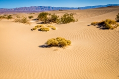 -Death Valley 2017-0372202017