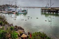 -Morro Bay-62-Edit122017