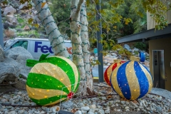 -Tram, Palm Springs-1322016