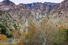 -Tram, Palm Springs-3142016