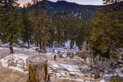 -Tram, Palm Springs-9092016