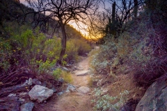 -Seven Falls, Tucson AZ-20632016