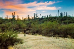 -Seven Falls, Tucson AZ-217102016