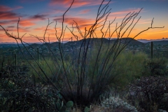 -Seven Falls, Tucson AZ-22752016