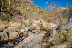 -Seven Falls, Tucson AZ-3032016