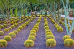 -Sunnylands, Palm Springs-35-Edit82016