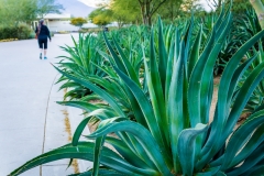 -Sunnylands, Palm Springs-76102016