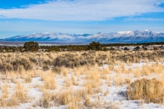 -Taos, NM-1122017