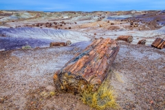 -Panted Desert-Petrified Forest-14162017