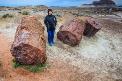 -Panted Desert-Petrified Forest-15282017
