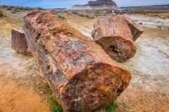 -Panted Desert-Petrified Forest-15472017