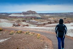 -Panted Desert-Petrified Forest-173242017