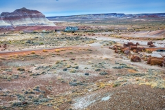 -Panted Desert-Petrified Forest-175252017