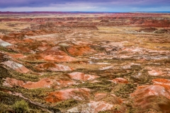 -Panted Desert-Petrified Forest-6512017