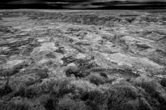 -Panted Desert-Petrified Forest-74-Edit12017