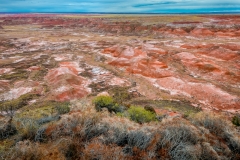 -Panted Desert-Petrified Forest-7442017