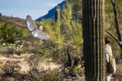 -Arizona Sonora Desert Museum 2017-7682017